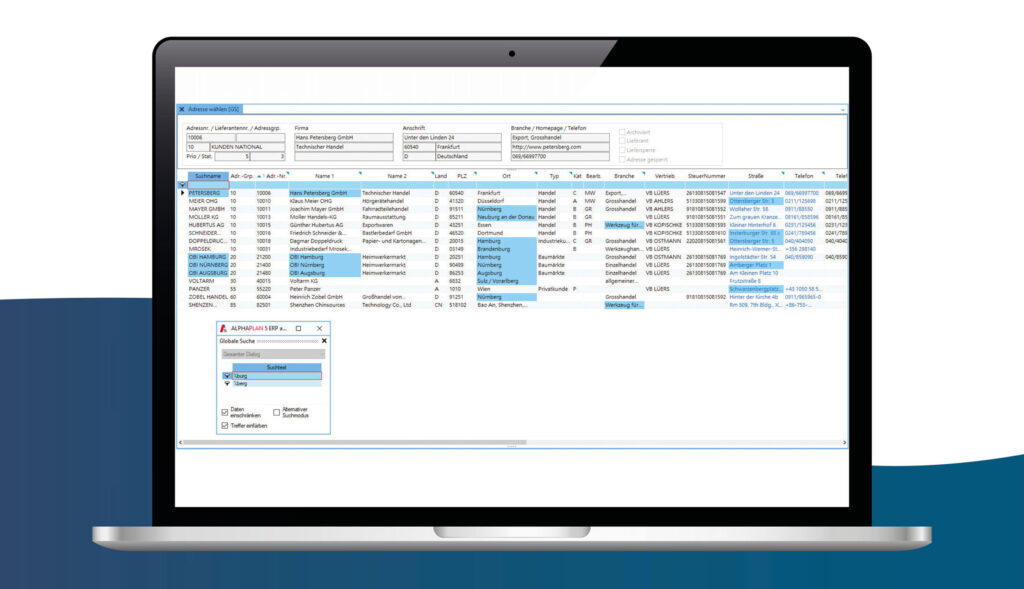 Screenshot ALPHAPLAN Warenwirtschaftssystem Gobale Suche