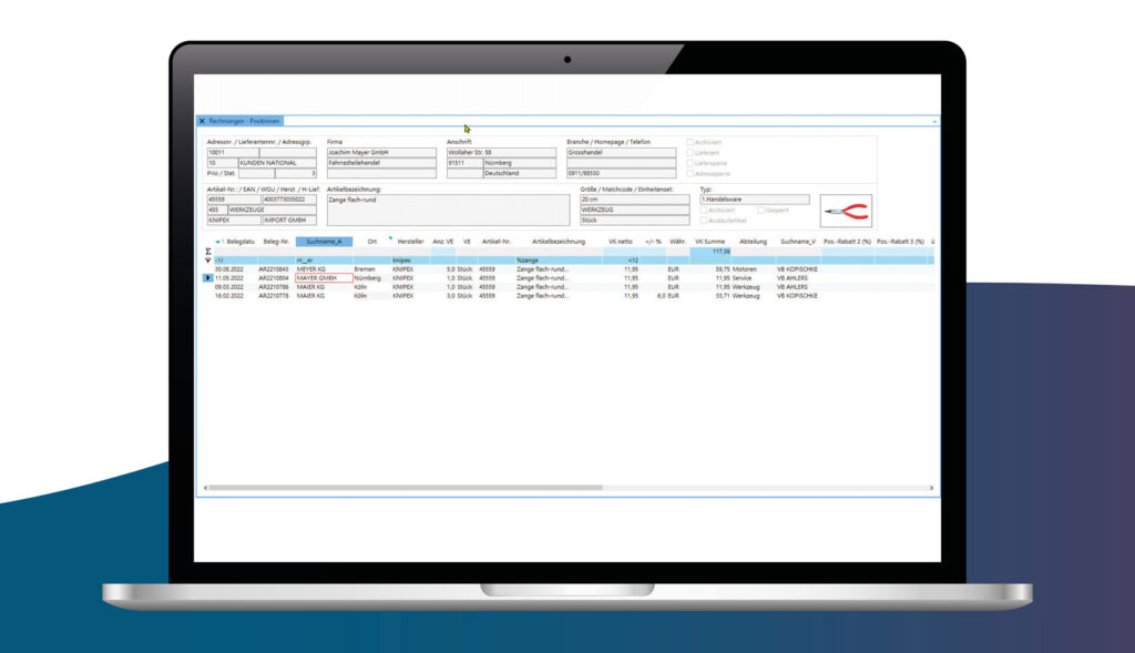 Screenshot ALPHAPLAN Warenwirtschaftssystem Suchparameter