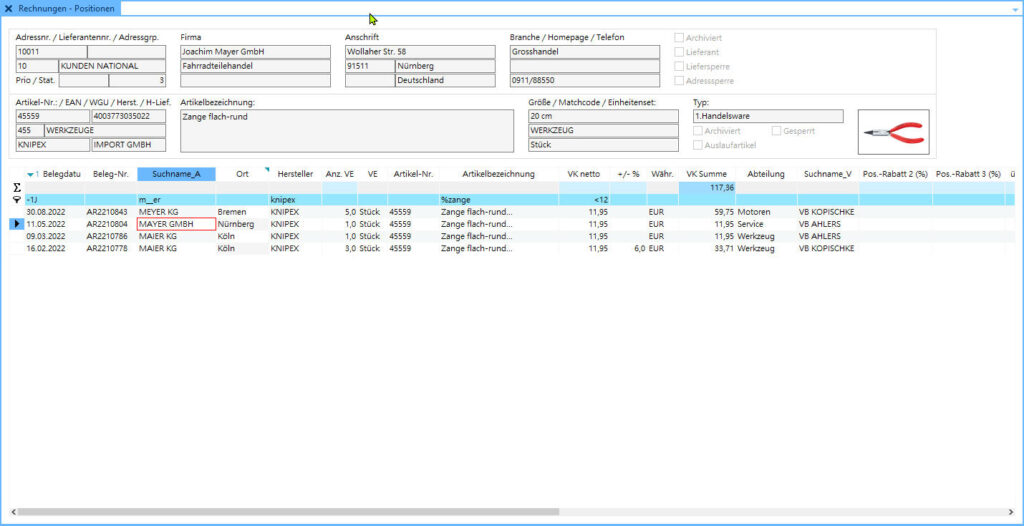 ALPHAPLAN ERP Screenshot für Suchparameter